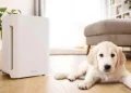 Air Purifiers for Dust: What Removes Particles Most Effectively