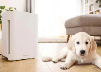 Air Purifiers for Dust: What Removes Particles Most Effectively