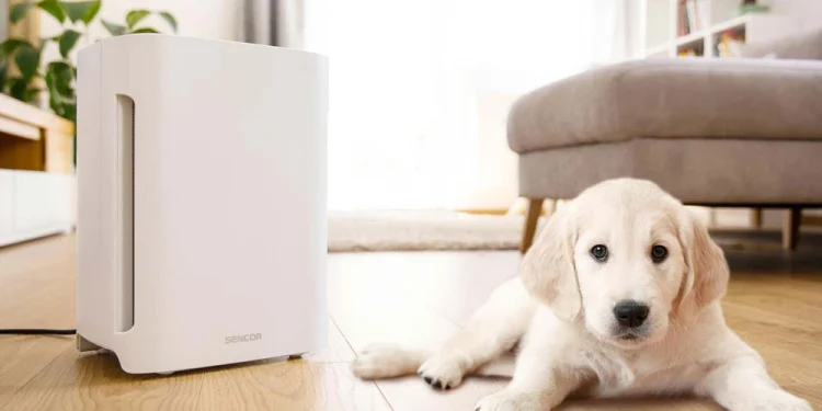 Air Purifiers for Dust: What Removes Particles Most Effectively