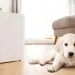 Air Purifiers for Dust: What Removes Particles Most Effectively